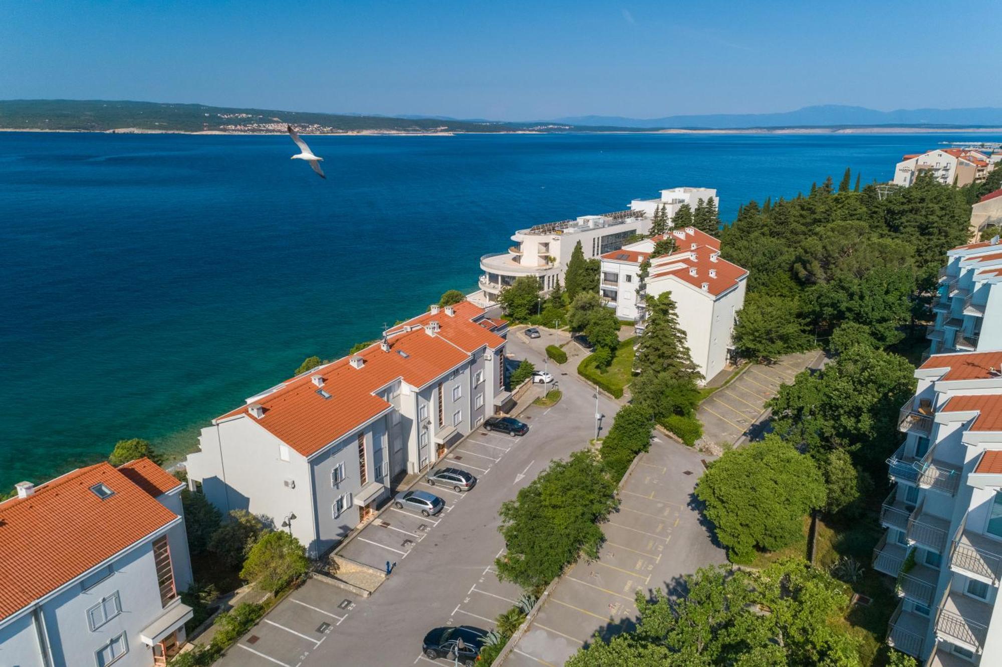 Heta Alagic Iii * Selce